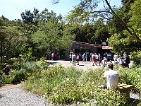 Foto 236